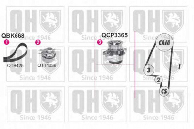 QUINTON HAZELL qbpk6680 -  Водяной насос + комплект зубчатого ремня